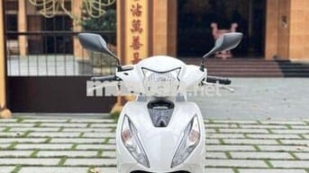 🌈 Vision 2022 Nguyên Zin - Gop 50% Bao Đậu