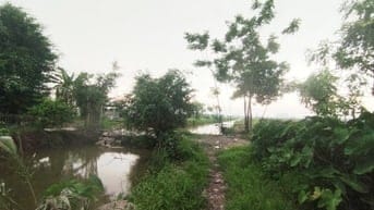 Chính chủ bán 1.100 m² đất nền làm homestay tại Đại Thanh, Tam Hiệp