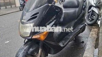 xe maạety cọp đồng hồ điện tử bstp chính chủ