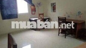 🏡 NHÀ CHO THUÊ GIÁ RẺ -DIỆN TÍCH LỚN– BẠCH ĐẰNG, P.15