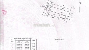 BÁN ĐẤT MẶT TIỀN XXT30, HÓC MÔN, 10X40 THỔ CƯ 100%