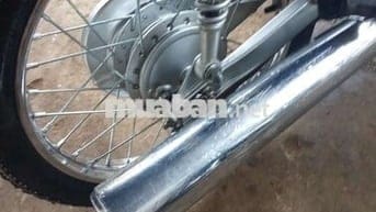 Cọp đen 2002. Chỉ mới dọn nhẹ..Liên hệ ***