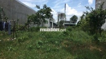 Bán Ngộp Đất Thới Hòa Bến Cát 300m2 950tr.Hợp đầu tư xây trọ cho thuê