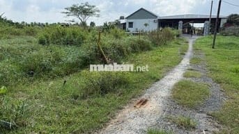 Đất nền full thổ cư đức hoà long an.