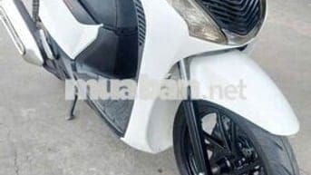 Sh úp áo ý siêu đẹp máy zin bao cọp keng .có góp