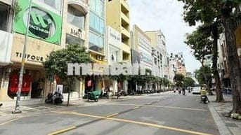 Chính chủ cho thuê nguyên căn Nguyễn Trãi quận 1 vị trí siêu đẹp