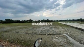 Đất Nông Nghiệp - 4907m2 - Mặt tiền đường Ba Thước - Tân Nhựt