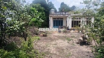 BÁN ĐẤT ĐẸP – MẶT TIỀN ĐƯỜNG SÔNG LU 2, BÌNH MỸ (HOÀ PHÚ) CỦ CHI