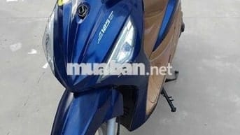 đẹp hơn xe vision.Xe Shark mini có Fi đời mới 2016