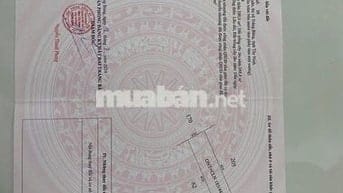 đất nền thổ cư sổ hồng riêng  diện tích 445m2 đất trảng bàng tây ninh