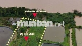 Bán đất mặt tiền sông Tân Phú Đông – 5.345m², giá 265tr/1.000m²