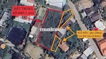 đất tại đường Rừng Dừa Bảy Mẫu, Phường Cẩm Thanh, Hội An