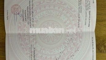 Đất rừng nở hậu,diện tích thực lớn hơn sổ,pháp lý sổ đỏ làm farmstay