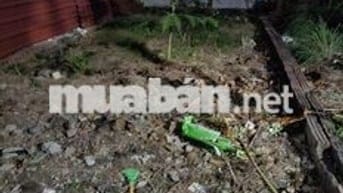 🌈 🌈 Bán 42m2 đất Hoàng Dương, Mai Đình – Ngõ Thông, Nhỏ Tiền