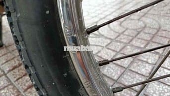 bán suki viva 2 đỉa