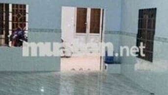 Cho Thuê Nhà Mới Tinh 1 Trệt 1 Lầu, ĐHT 31