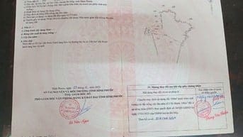 Cần bán đất xã Tân Tiến, Đồng Nai (Bình Phước cũ)