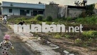 📌 BÁN ĐẤT THỔ CƯ 145.9m² – SỔ RIÊNG – AN VIỄN, TRẢNG BOM – GIÁ ĐẸP