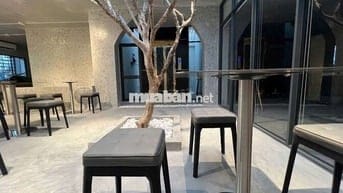 VĂN PHÒNG CAO CẤP + PANTRY + SÂN THƯỢNG