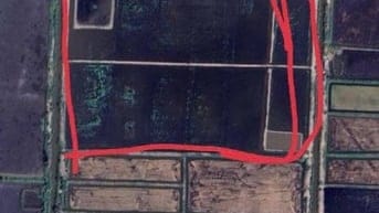 BÁN GẤP 14,5 ha ĐẤT MẶT TIỀN RỘNG – GIÁ CHỈ 1 tỷ/ha