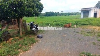 Đất tc sát chợ VD3, trường c1,c2, MG,  cách trung tâm TP BMT 20p