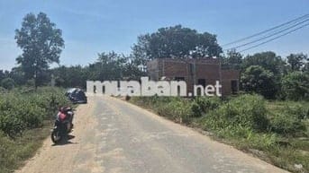 Bán 1124m2 đất mặt tiền Vĩnh Tân 25. Giá bao rẻ, gần vành đai 4.