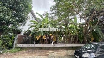 🧧 BÁN ĐẤT : BIỆT THỰ : PHONG BẮC 8