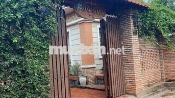 CHO THUÊ BIỆT THỰ SÂN VƯỜN TƯƠNG BÌNH HIỆP THỦ DẦU BD