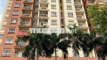 Cần bán căn hộ Good House 45 Trương Đình Hội, Phường 16