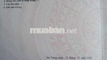 Đất nền thổ cư đô thị mặt tiền lộ bê tông trần đề,thành phố cần thơ