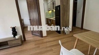 Cho thuê căn hộ chung cư 2 phòng ngủ, full nội thất đẹp, đủ tiện nghi.