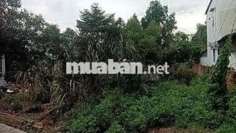 200M2 ĐẤT THỔ CƯ 13X16 FULL THỔ ĐƯỜNG XE HƠI TÂN HIỆP GẦN THỊ TRẤN HM