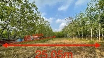 Công ty Đấu giá hợp danh Lam Sơn Sài Gòn THÔNG BÁO ĐẤU GIÁ TÀI SẢN