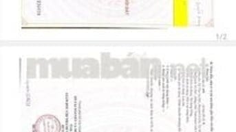 Chủ bán 2 lô cặp ngay sát Thị trấn Củ Chi, 1 tỷ 3, SHR 10x16=160m2.