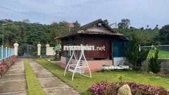 Nhà vườn nghỉ dưỡng ngay khu kiwuki Bảo Lộc DT 1055m2 sẵn 100m thổ cư