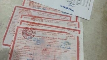 Nhà rộng ở sướng 45m cầu thang bê tông 4 ngủ 3wc 