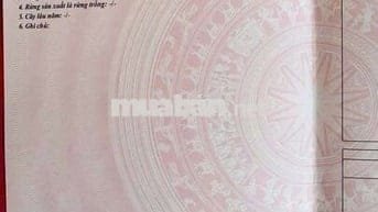 Em bán đất thổ cư 100% đường xe hơi tránh nhau