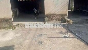 cho thuê mặt bằng Kinh Doanh tại Dĩ An