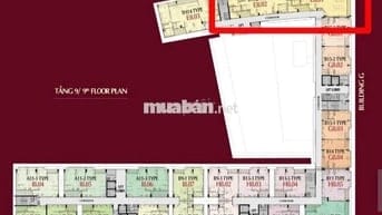 🌟 2 CĂN THÔ LIỀN NHAU CÓ TẠI MIDTOWN – ĐẬP THÔNG THÀNH 335M² CHỈ 57 TỶ