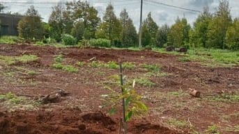 Cần bán đất đỏ đẹp 16000m2 ( 1 mẫu 6) có sầu riêng (CHÍNH CHỦ)