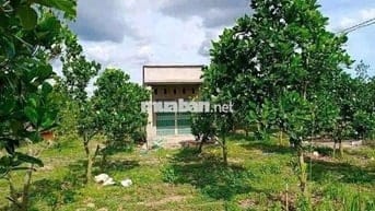 🌿 Không ồn ào, không vội vã – chỉ là bình yên