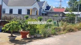 Bán Gấp Đất Giá Rẻ Bàu Bàng 500m2 420tr.Sổ riêng.Gần chợ,Xây cho thuê