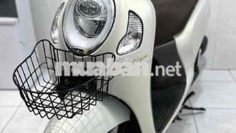 Honda Scoopy Smarkey 2024 Trắng