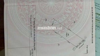 Bán Gấp Lô Đất Trồng Cây Cao Su Ở DH519 12000m2