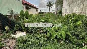 Đất 77m2 HXH 3m Hoàng Mai, Đồng Thái chỉ 1,35 tỷ đồng