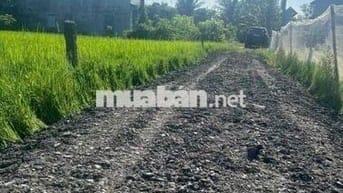 500m2 đường số 2 bình lợi 1ty3 quá rẻ Đức Hoà Long An