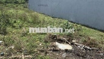 ĐẤT THỔ CƯ CÓ SỔ ĐỎ HOÀ PHƯỚC  100M2