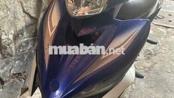 ex 135 bstp ngay chủ