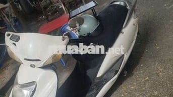 Honda Xe máy màu Trắng