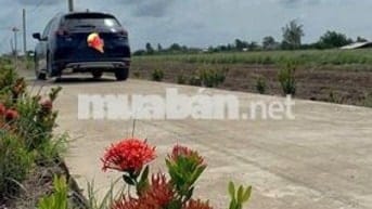 💸Giá chỉ có #189tr cho 1lô đất có thổ cư đường oto tại Tân Phú Đông